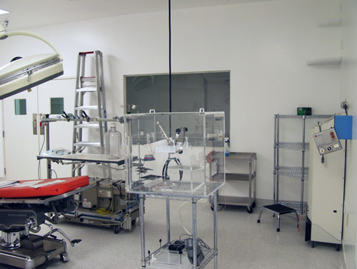 cephalic enclosure used for neuropreservation