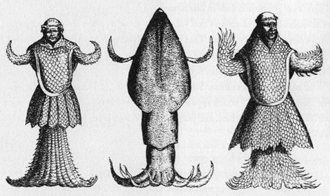 BISHOP FISH: (EUROPE)