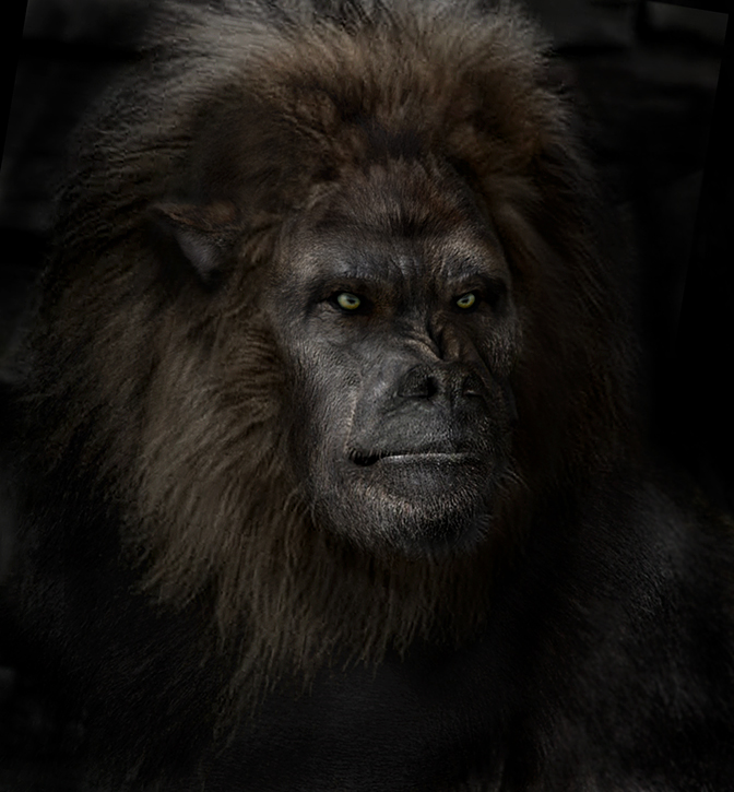 devil_monkey_head281.jpg?