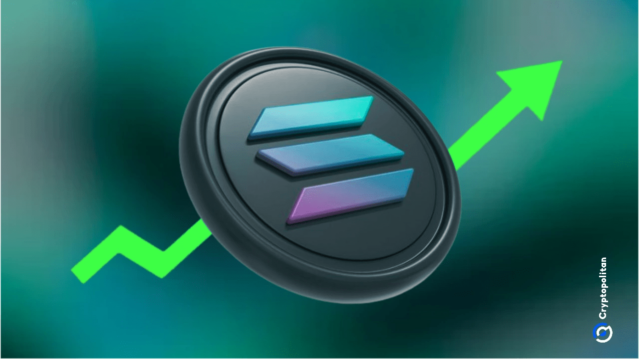 Are new memes still hot? Traders may be creating fake traffic on Solana