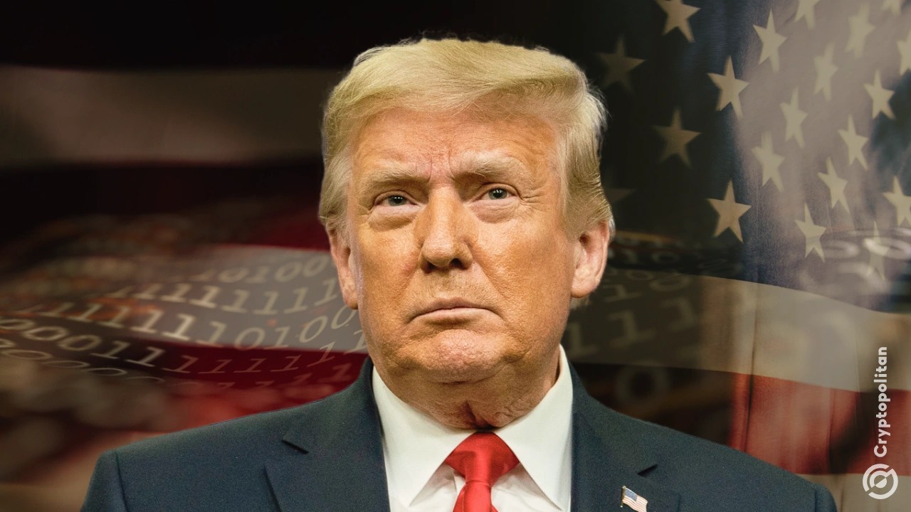 Latest Crypto News & Updates: Bitcoin, Blockchain, Web3 Trends, Top &  Breaking News | MEXC