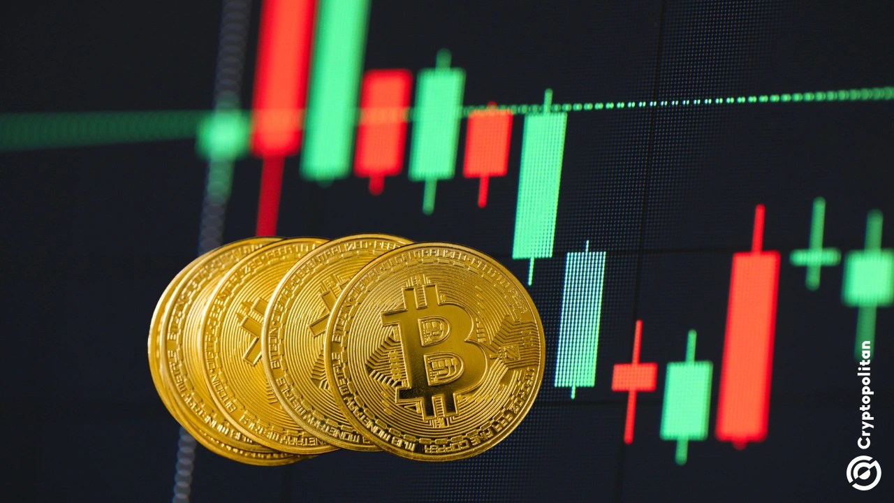 Latest Crypto News & Updates: Bitcoin, Blockchain, Web3 Trends, Top &  Breaking News | MEXC