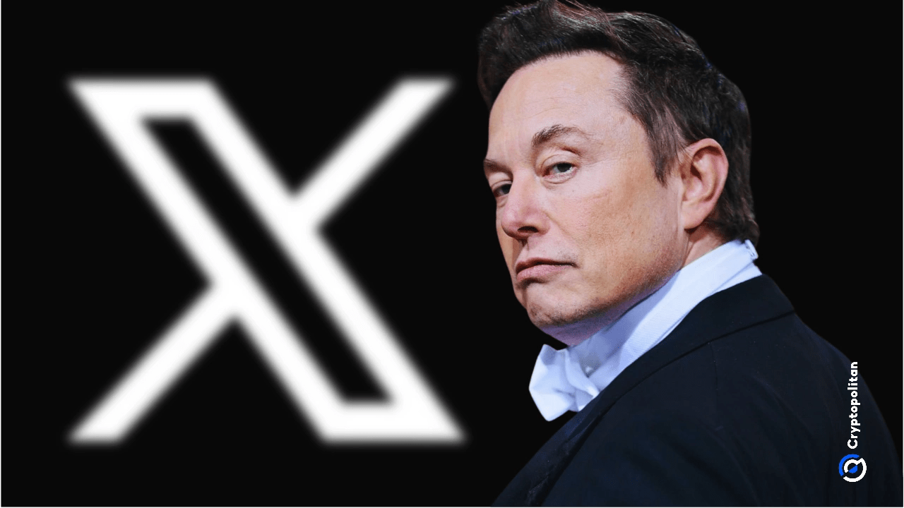X (Twitter) AI Makeover: Elon Musk's Plan for Ads and Timeline (2025)