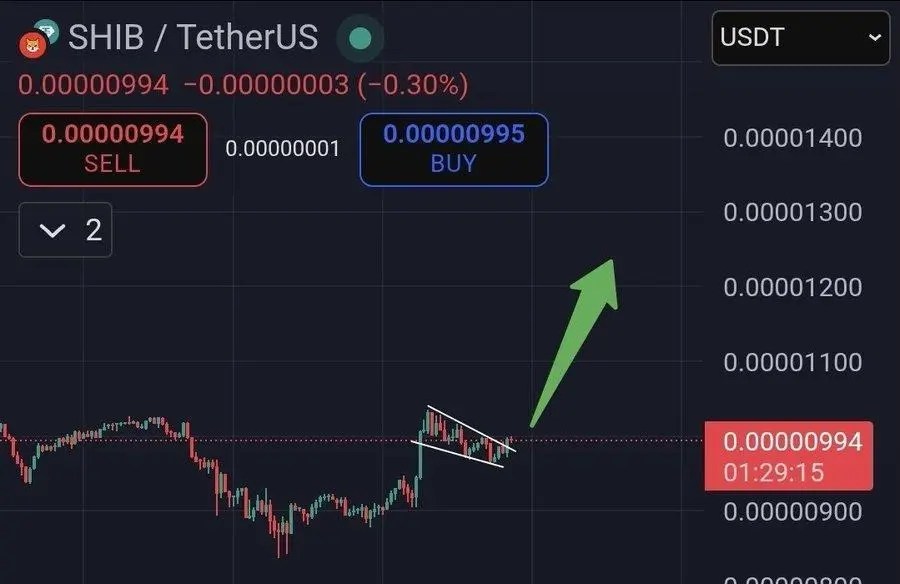 Here’s the Crypto Smart Investors Are Betting on for the Next 5000% Breakout And It Is Not Shiba Inu (SHIB)