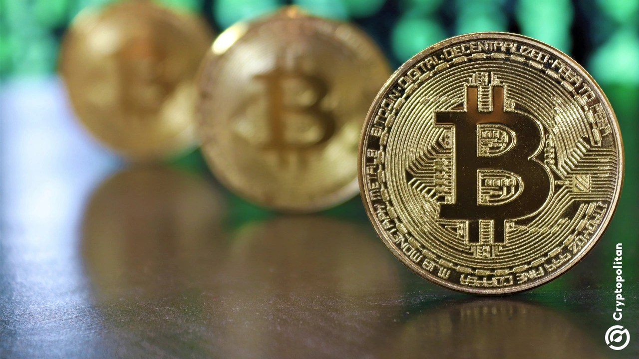 Nasdaq-listed Bitcoin Treasury ZOOZ faces delisting risk as share price drops below $1