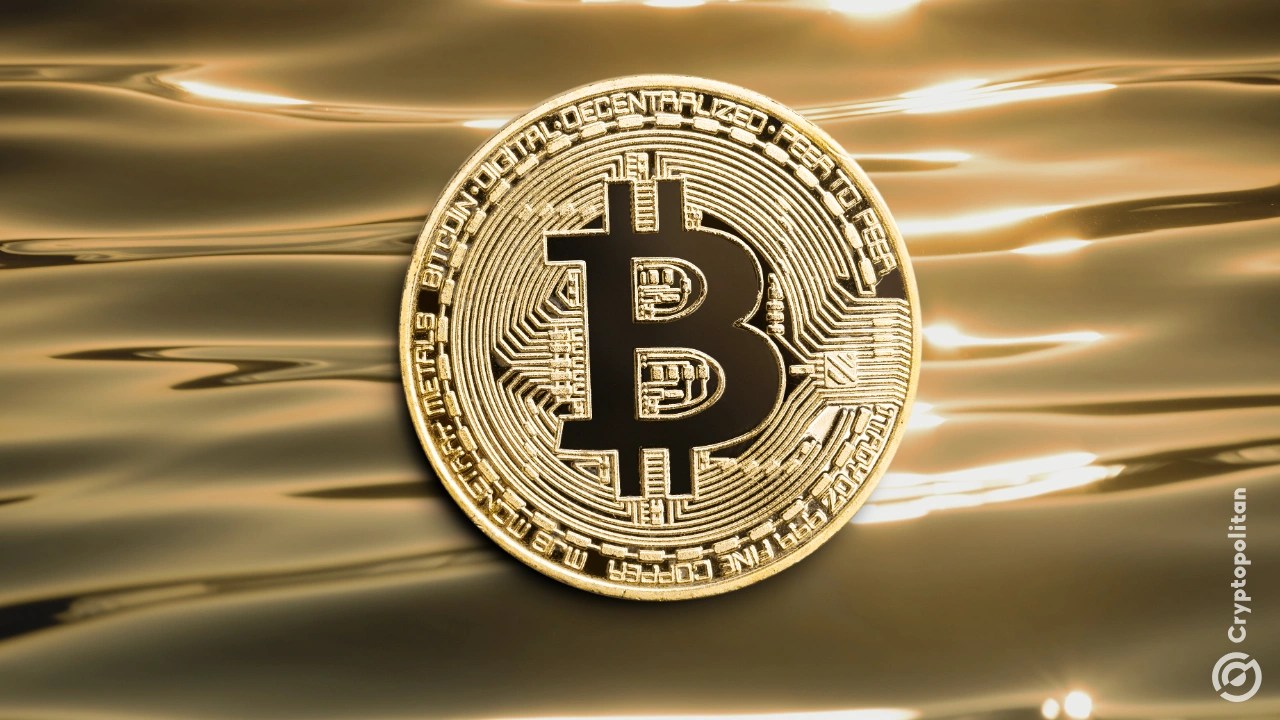 Майнеры и крупные инвесторы обеспечивают поддержку btc, в то время как