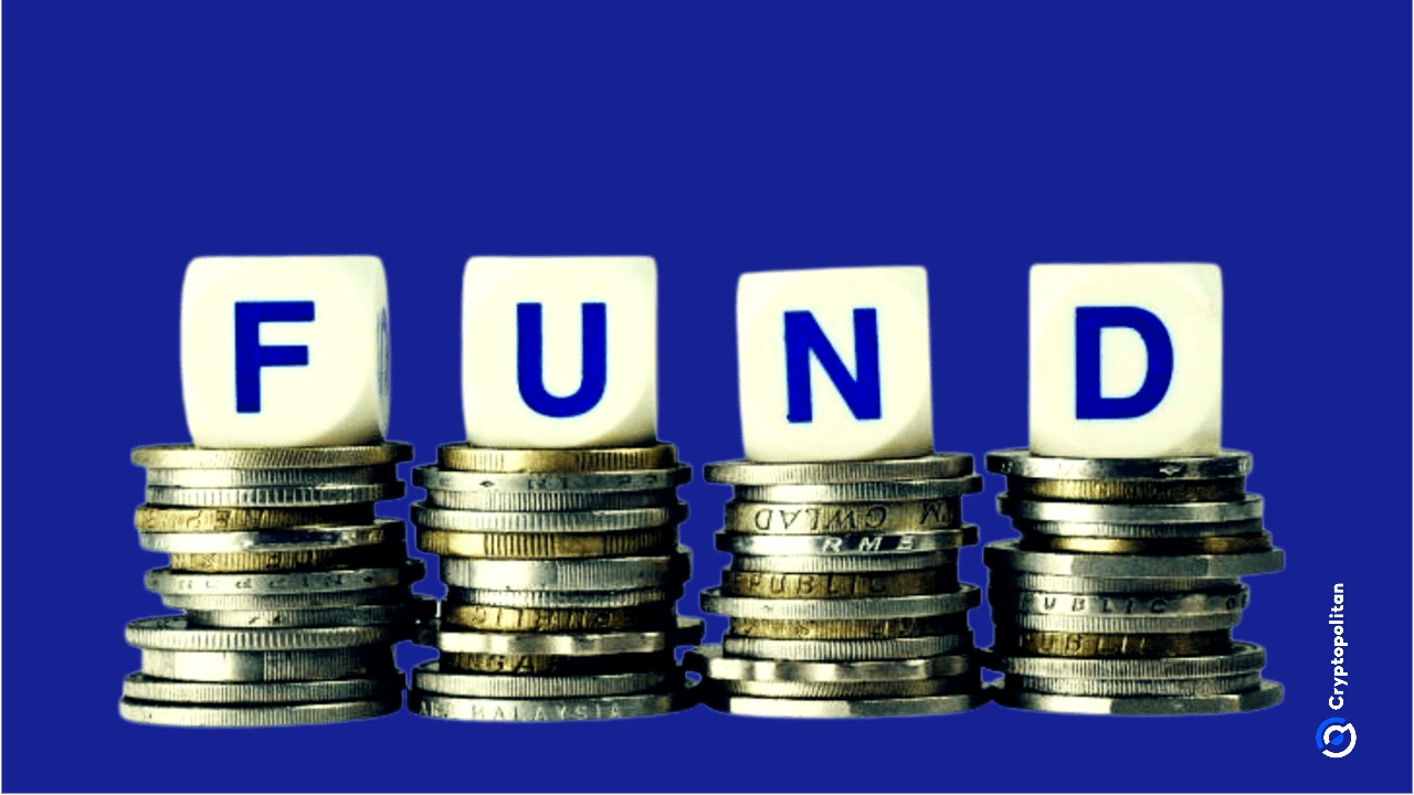 Wintermute claims 4% approval rate in 2025 crypto funding applications