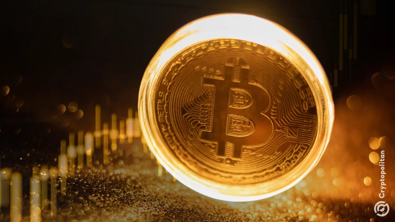 VanEck lays ground on how one Bitcoin could be worth $2.9 million by 2050