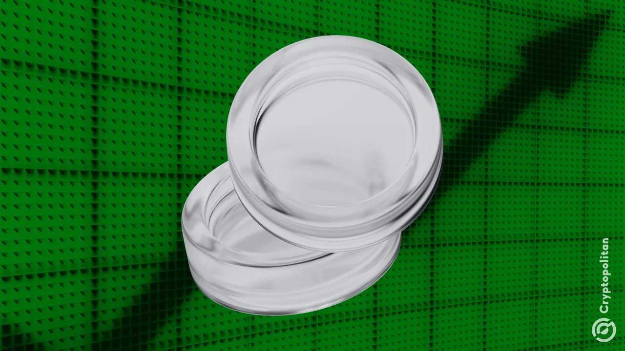 Altcoins hit 50% trading volume as traders chase high-beta tokens