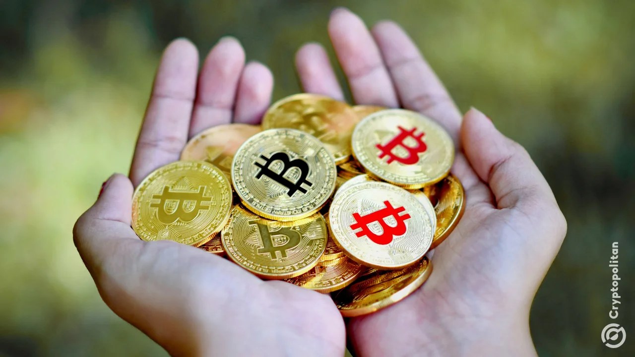 Le organizzazioni benefiche sudcoreane preferiscono le donazioni crypto con un clic