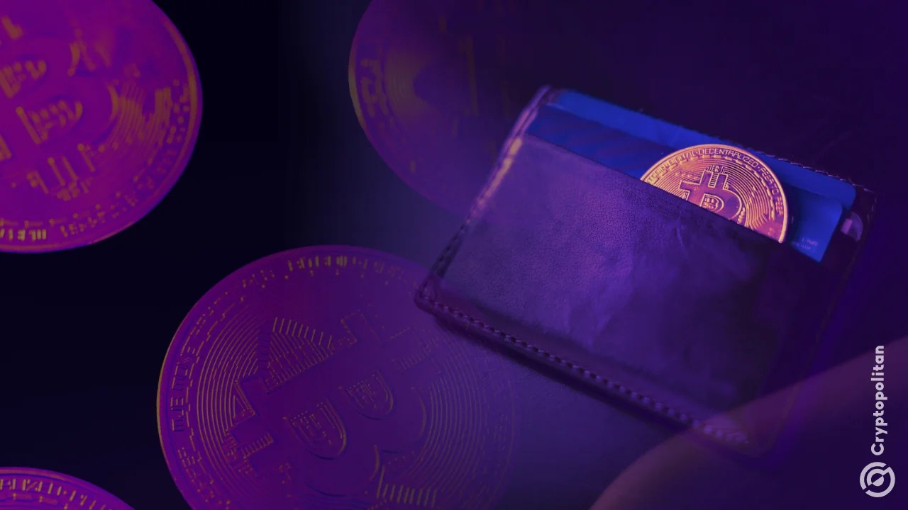 Ex-Zcash Devs Launch cashZ Wallet After ECC Resignations