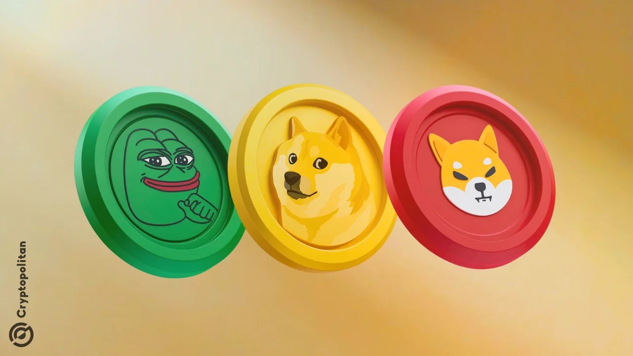 Memecoin hype rises amid renewed appetite for risk assets