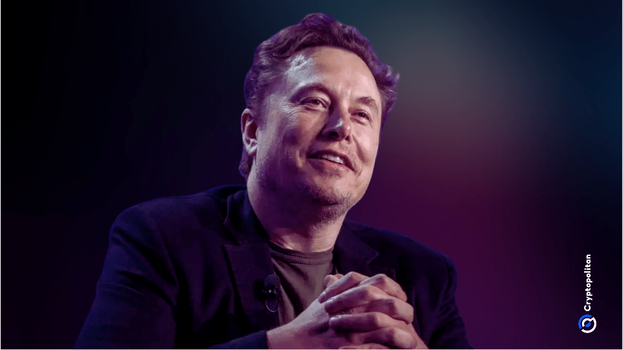 Musk dismisses ‘clown analysis’ over lying to gain US government funding
