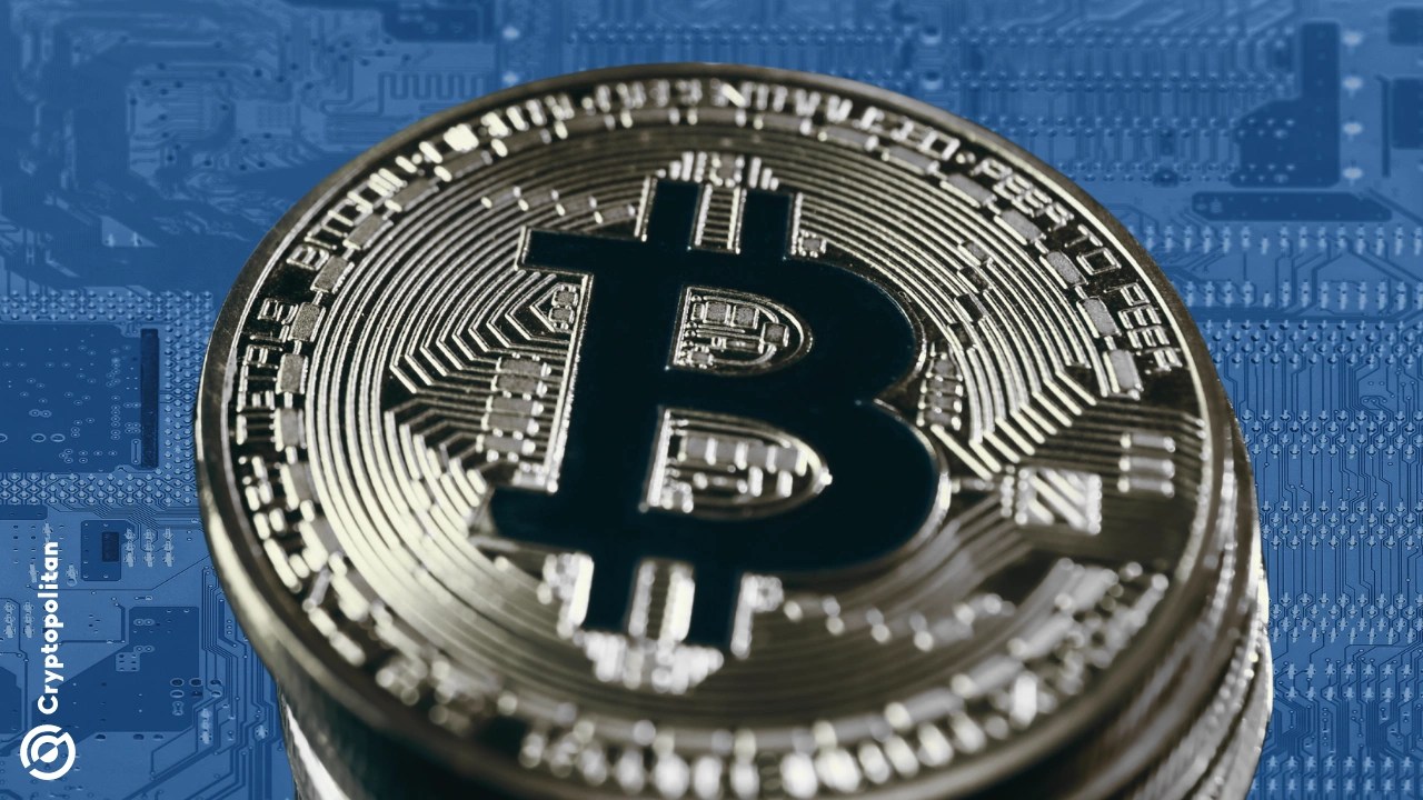 Bitcoin miners turn to AI as halving and energy costs crush profits