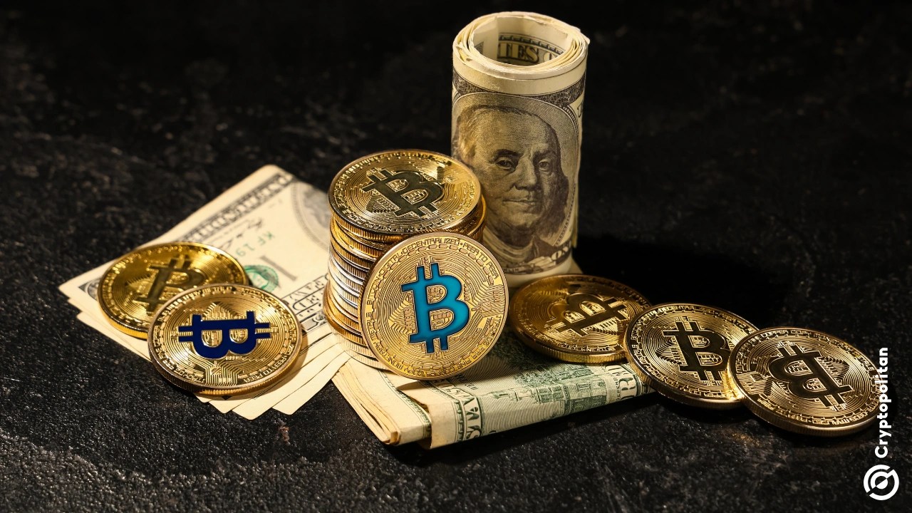 BTC falls into a high-risk, high-opportunity buying zone