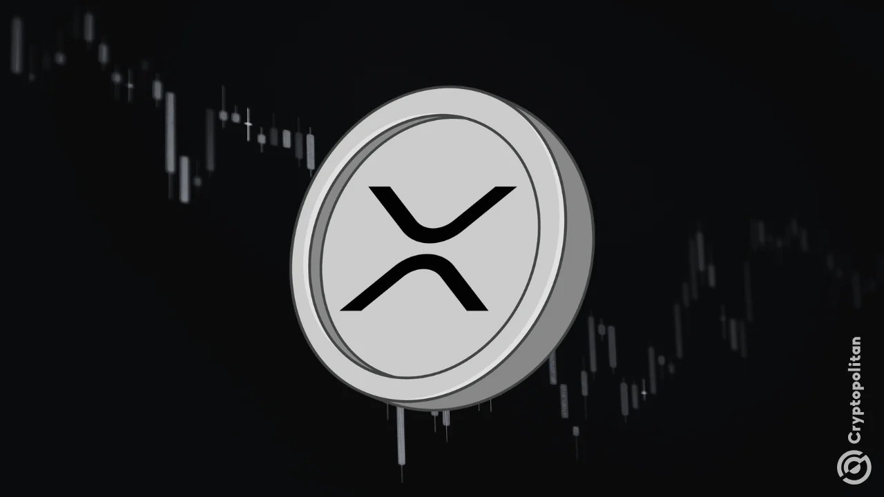 XRP Ledger’s stablecoin supply has surged to $568 million since December, a 100% increase
