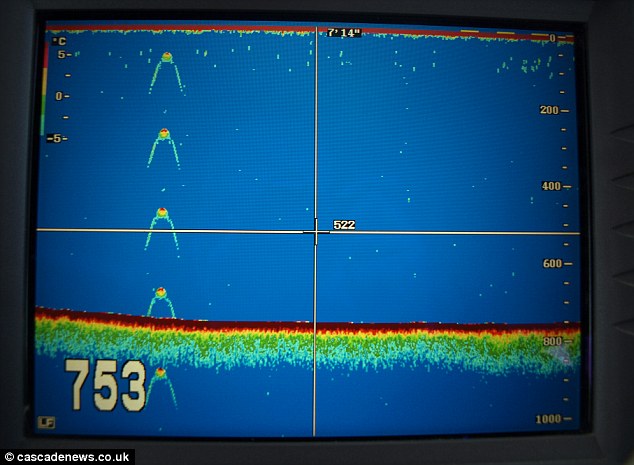 Le sonar a-t-il trouvé Nessie ? Par Lewis Dean - Cryptozoologia.eu - A ...