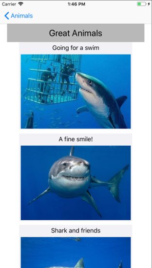 Cs313e Assignment 11 Pdf Assignment 10 Cs329e Elements Of Software - Vintage Textures - Gorgeous Mobile Collection