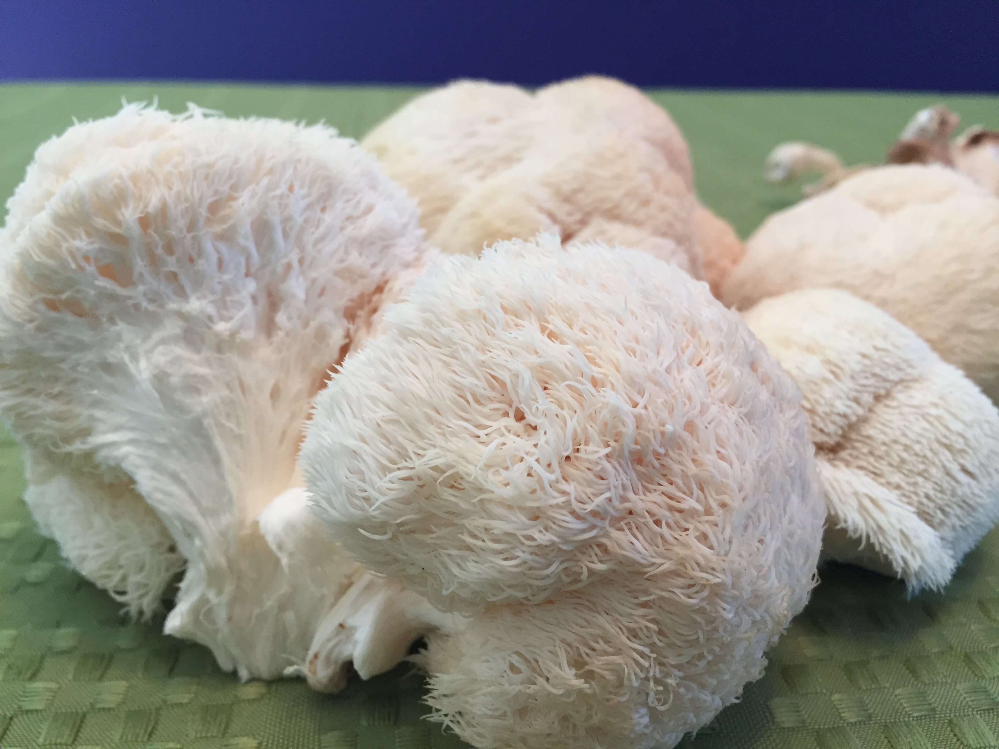 Lions Mane Mushrooms in Garlic Butter - CSA|365