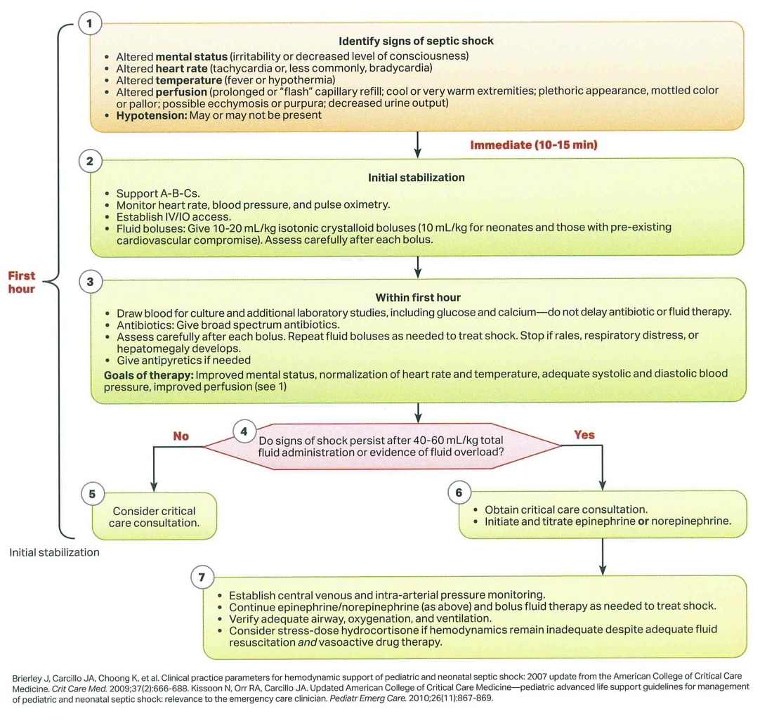 PALS Septic Shock Algorithm – CSRE Review