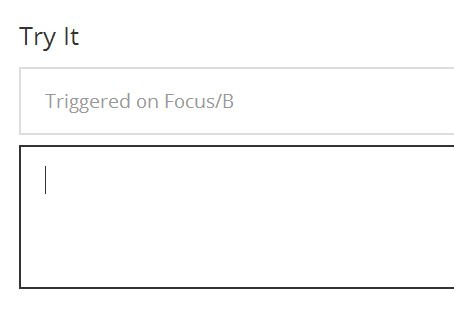 Animated Text Filed Placeholder with Placeholdem.js