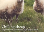 Fullscreen Image Viewer Javascript Library - Intense Images