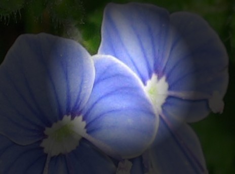Create A Spotlight Effect using Canvas and Scrawl.js