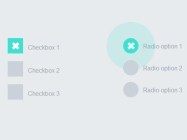 Material Design Inspired Check & Radio Click Animations with CSS3