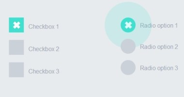 Material Design Inspired Check & Radio Click Animations with CSS3