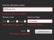 Simple Inline Form Validator with Pure Javascript