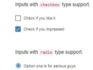 Material Design Inspired Custom Html Inputs with CSS & Javascript