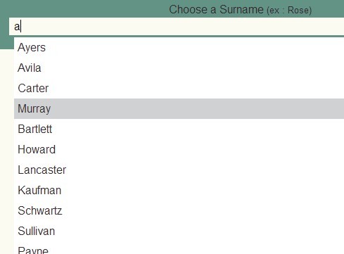 Simple Autocomplete JS library For Input Field - autoCompltr.js | CSS ...