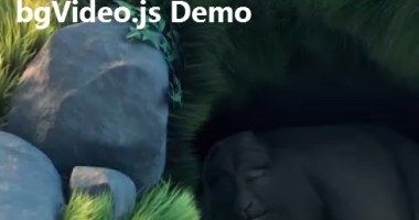 Fullscreen Html5 Video Background With Pure JavaScript - bgVideo.js