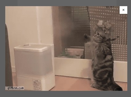 Mini Modal Popup with Vanilla JavaScript