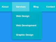 Simple Clean Pure CSS3 Dropdown Menu
