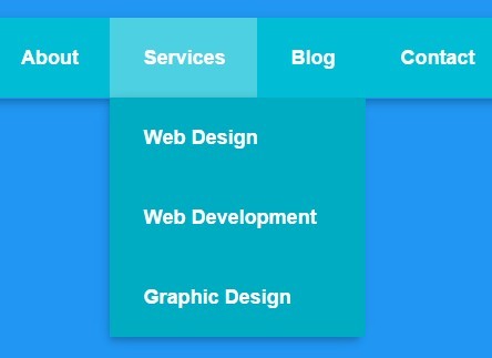 Simple Clean Pure CSS3 Dropdown Menu