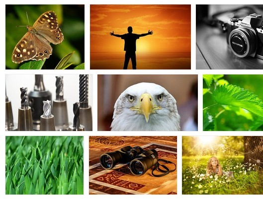 Google Images Style Thumbnail Grid with Pure JavaScript – FlexImages