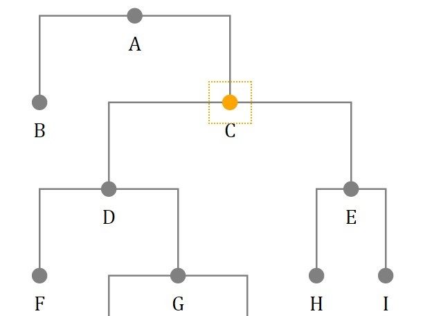 Create SVG Based Tree Structure Using JavaScript – SVGTree