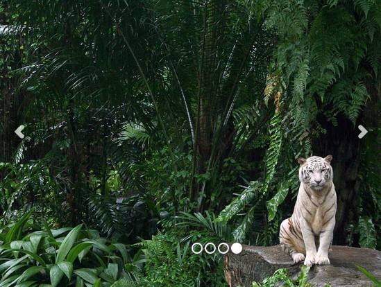 Fullscreen Responsive Slideshow with Vanilla JavaScript and CSS3