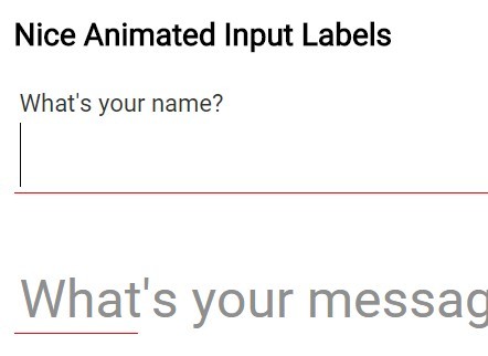 Nice Animated Input Labels with Pure CSS
