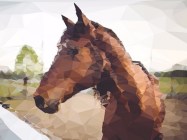 Polyvia.js