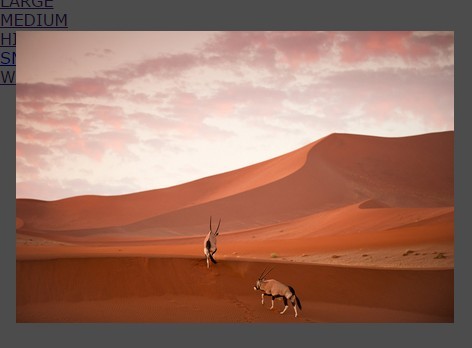 CSS Only Image Viewer – JesterBox