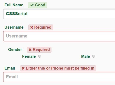 Simple Custom Form Validation JavaScript Library – JSFormValidation