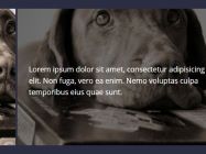 Pure CSS Expanding Slideshow