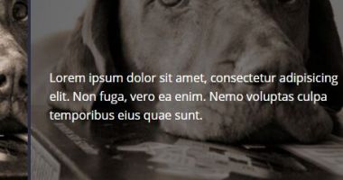 Pure CSS Expanding Slideshow