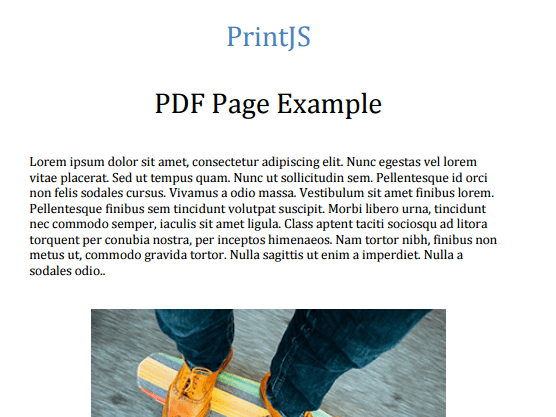 A JavaScript Library For Printing Any Elements On The Page – Print.js
