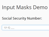 Input Masks