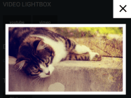 Leaf-Lightbox