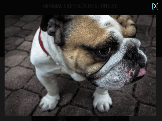 Minimalist Responsive Image Lightbox Library – minimal.lightbox.js