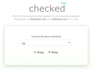 checked-css